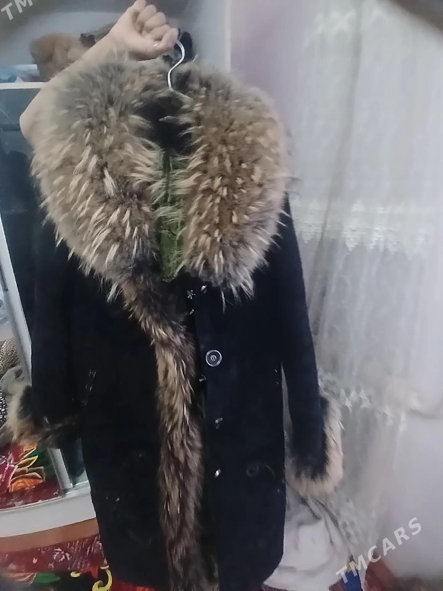 Palto - Daşoguz - img 1