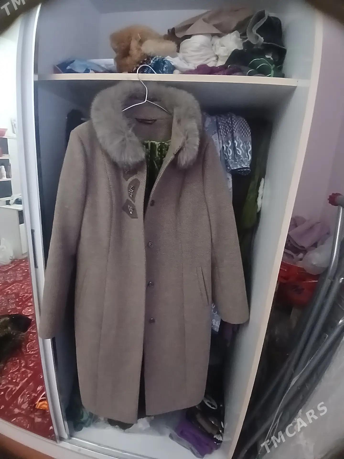 Palto - Daşoguz - img 2