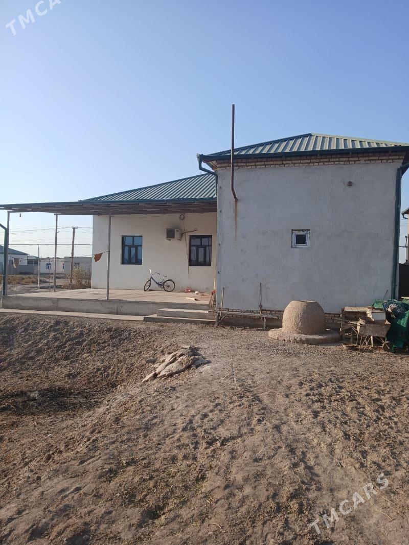 Satlyk Jay Panahanda - Daşoguz - img 2