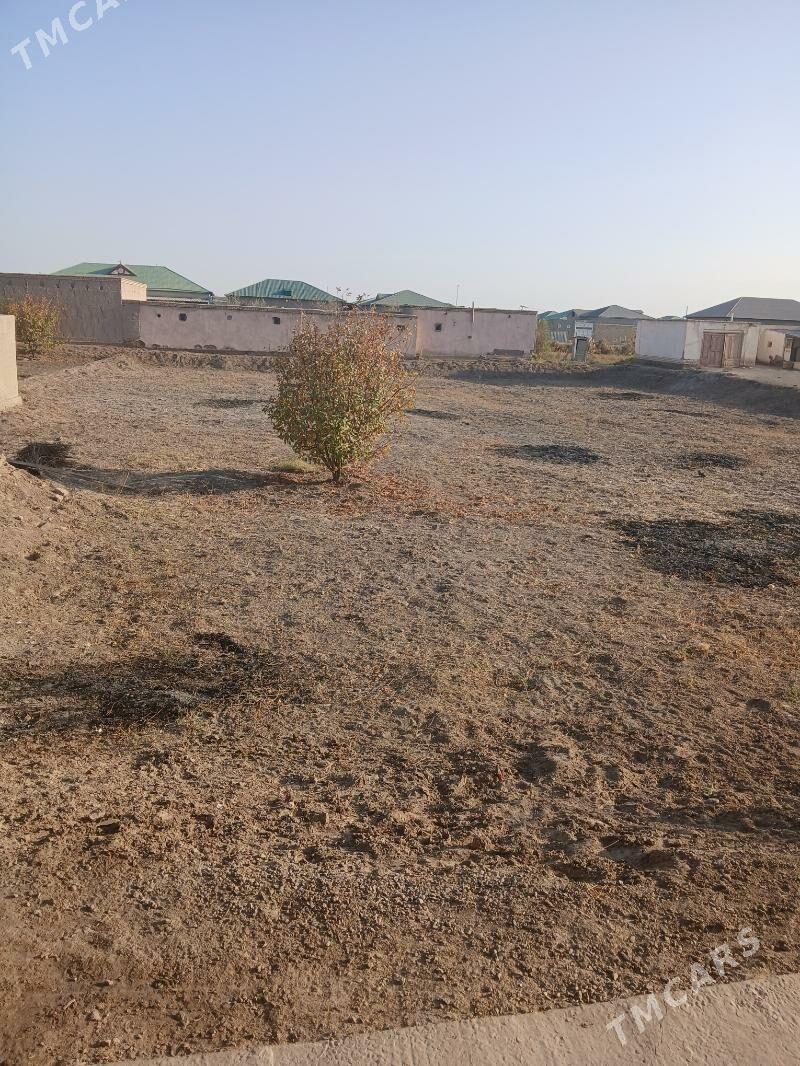 Satlyk Jay Panahanda - Daşoguz - img 3