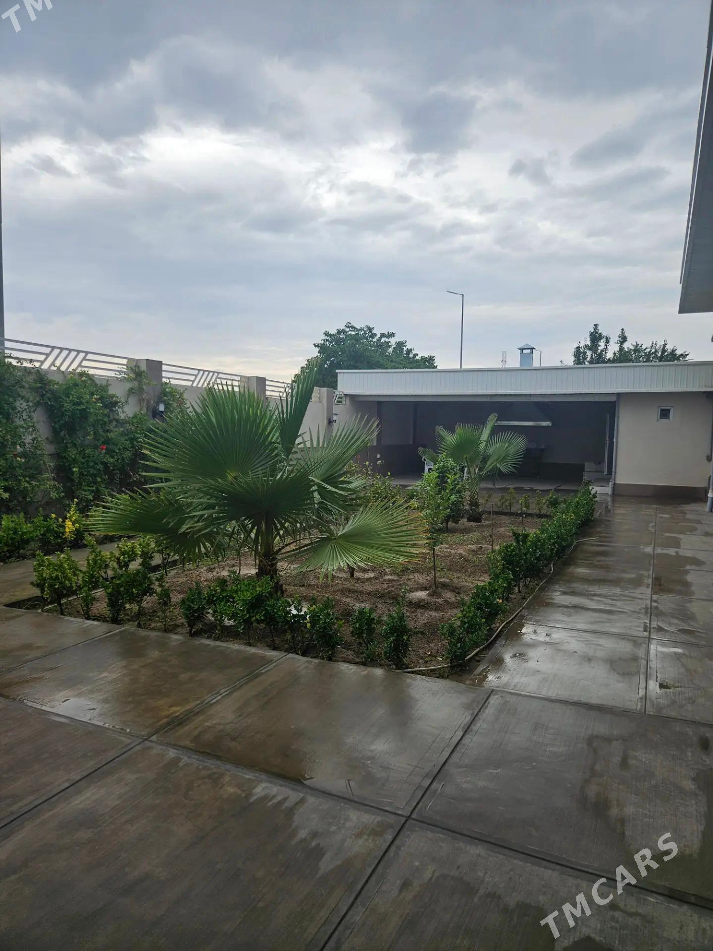  ЧОГАНЛЫ ФУЛ - Чоганлы - img 8