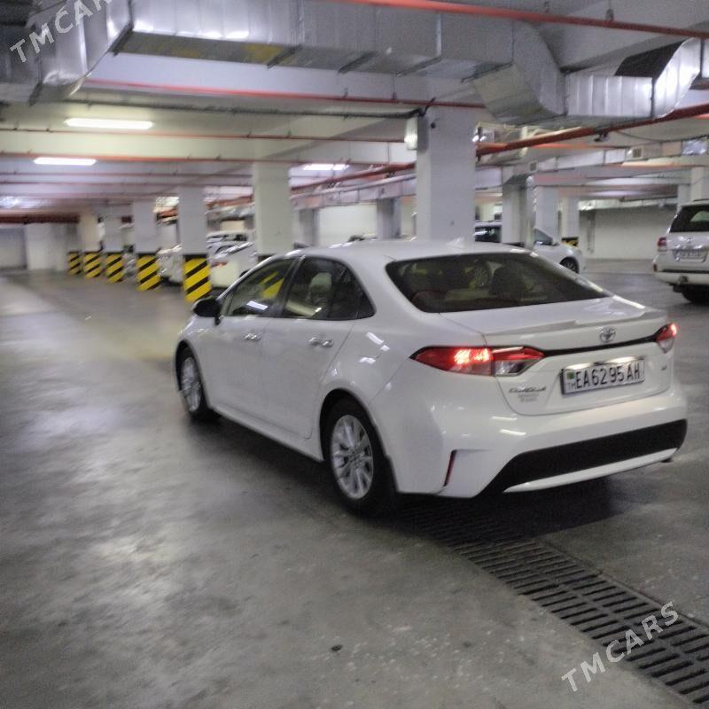 Toyota Corolla 2020 - 230 000 TMT - 15-й этап - img 4