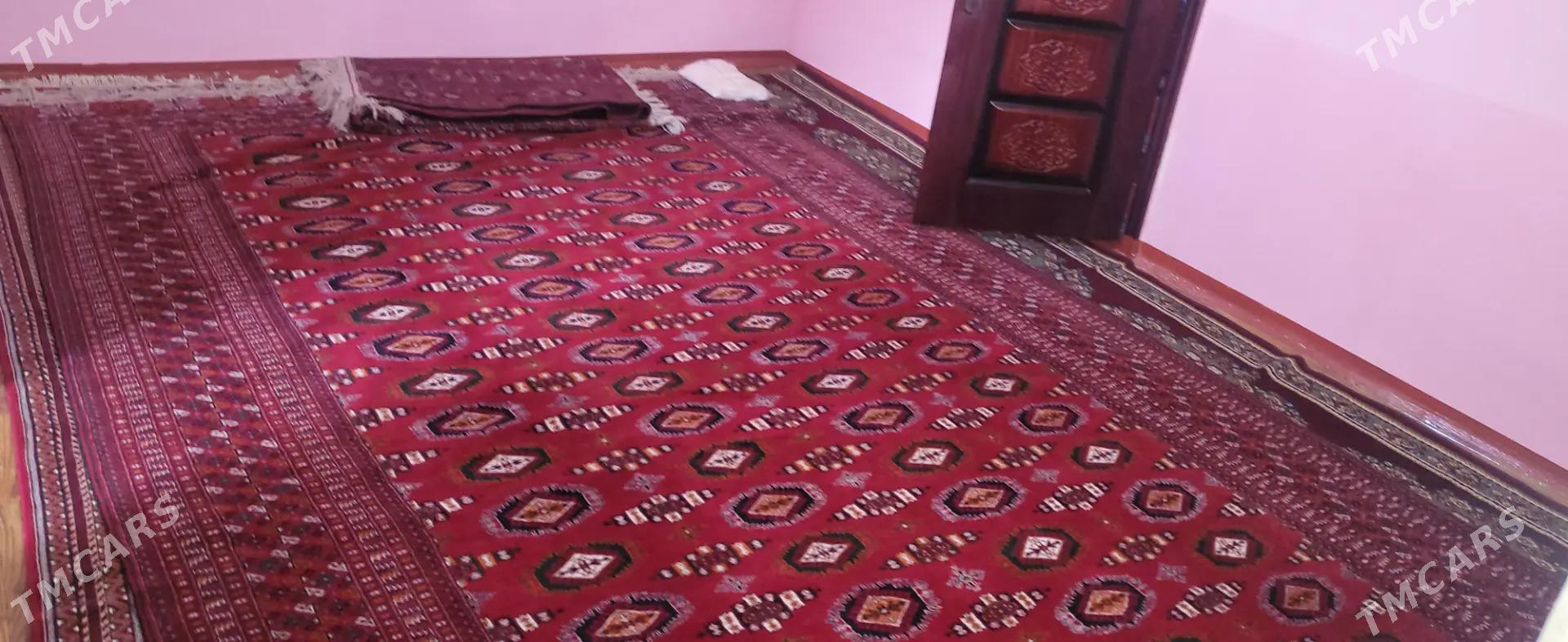 15-lik haly - Bäherden - img 2