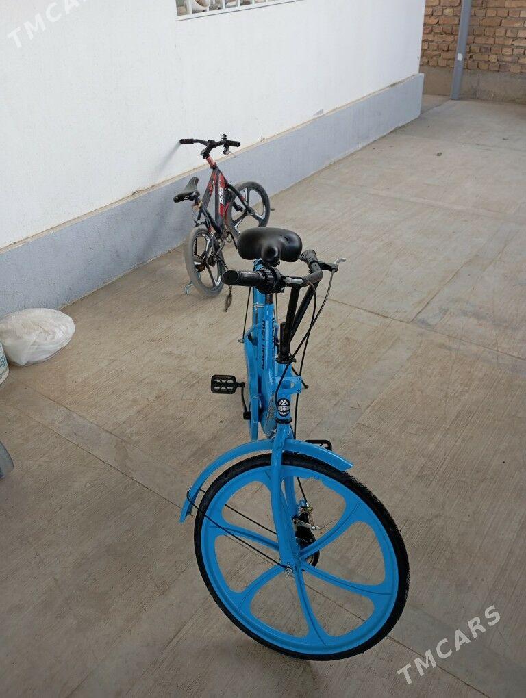 Tigir - Bäherden - img 2