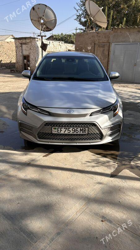 Toyota Corolla 2023 - 255 000 TMT - Байрамали - img 2