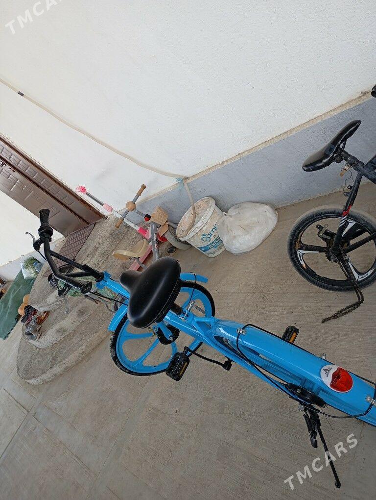 Tigir - Bäherden - img 5