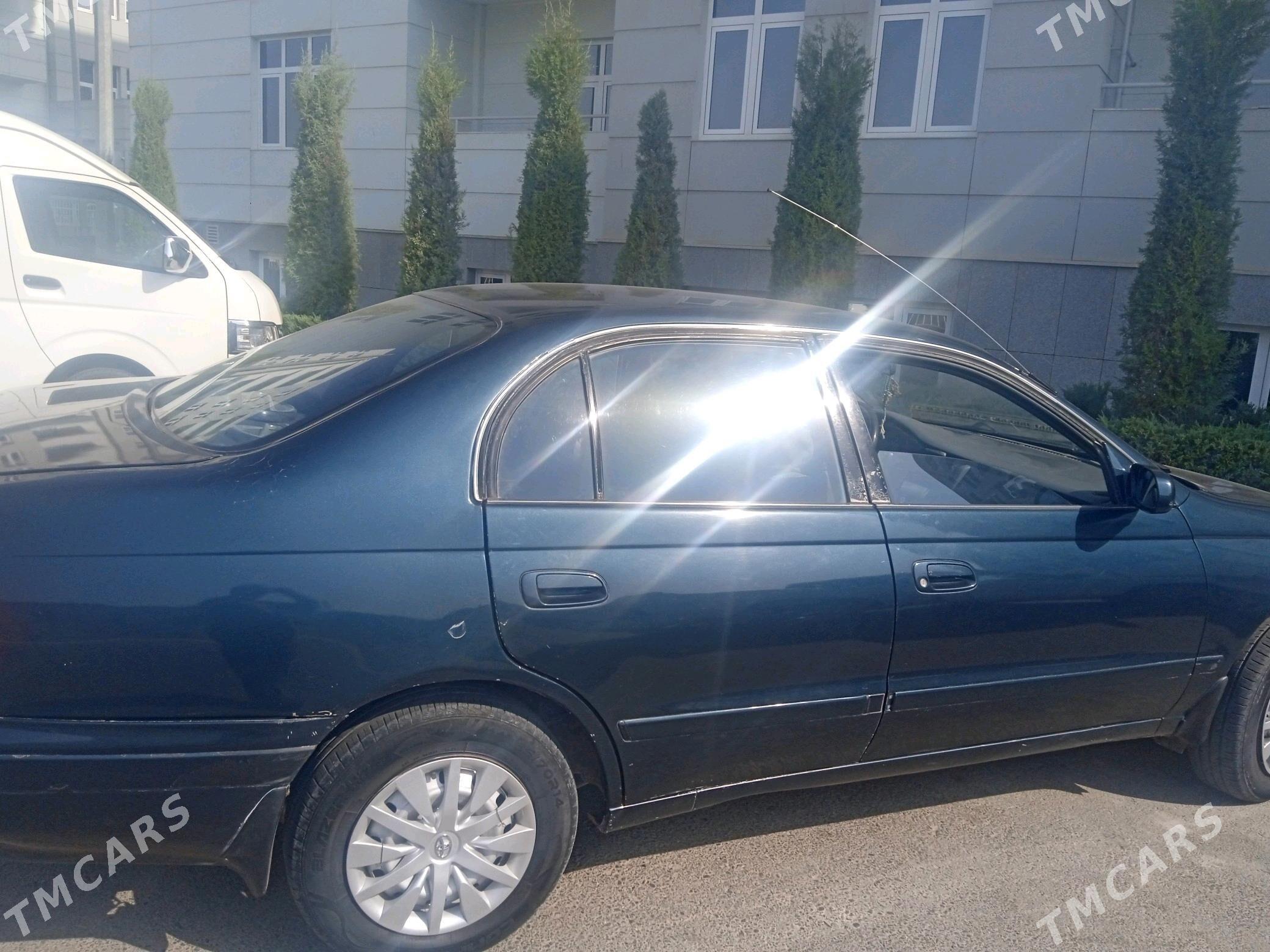 Awtoulagda okuwçy gatnatmak - Sakarçäge - img 1