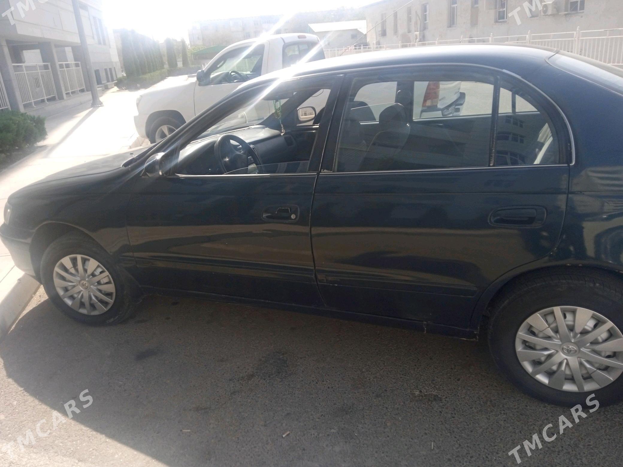 Awtoulagda okuwçy gatnatmak - Sakarçäge - img 2