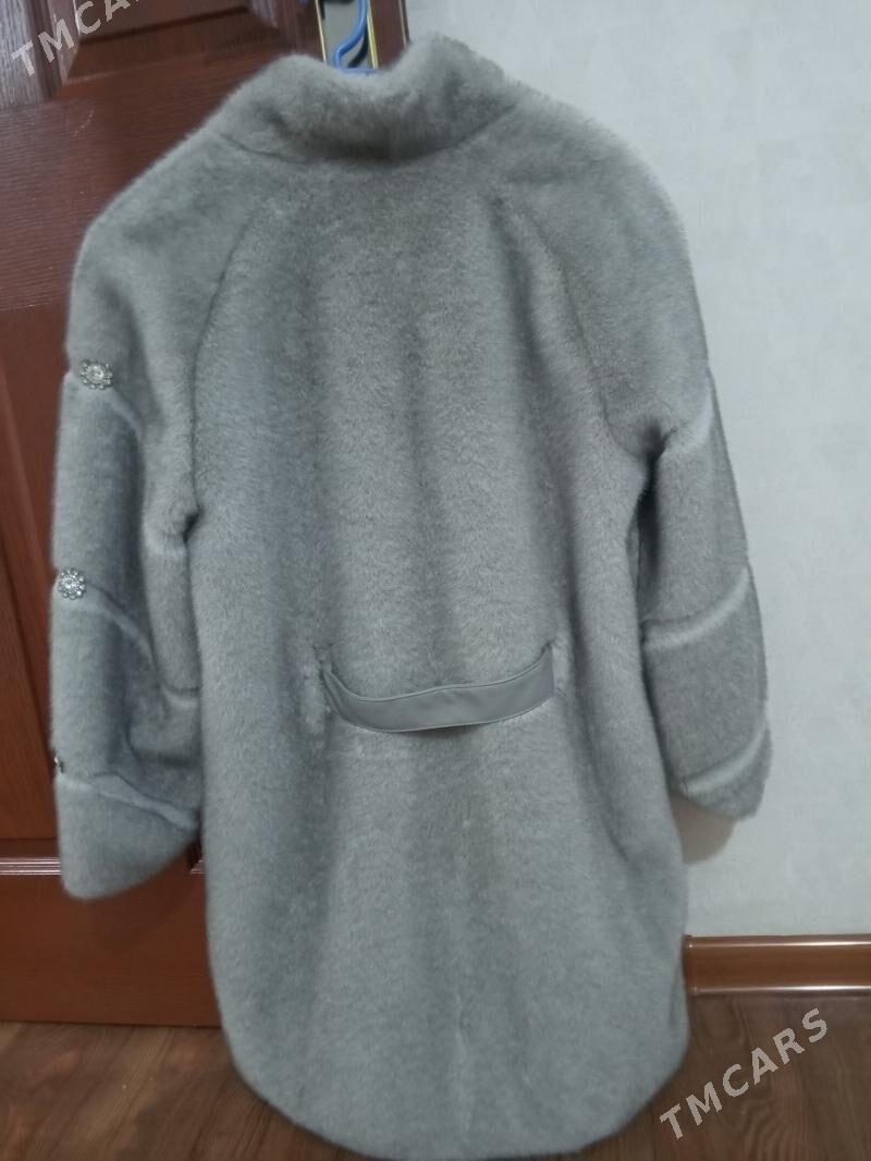 şuba - Balkanabat - img 3