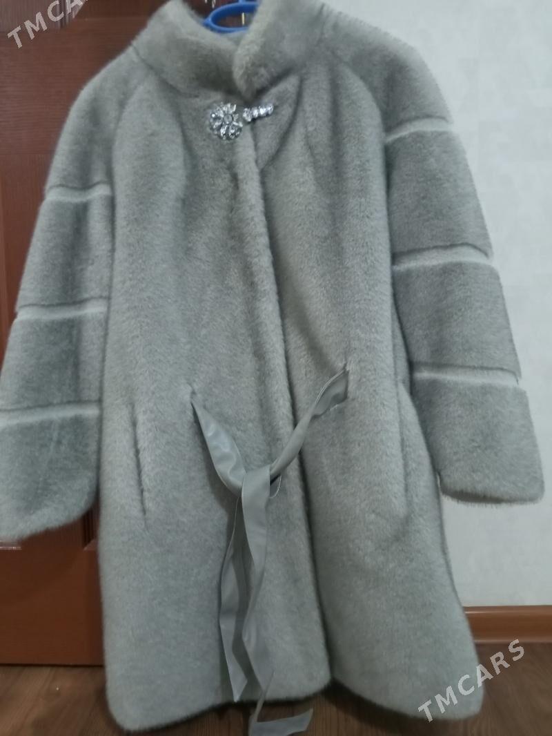 şuba - Balkanabat - img 2