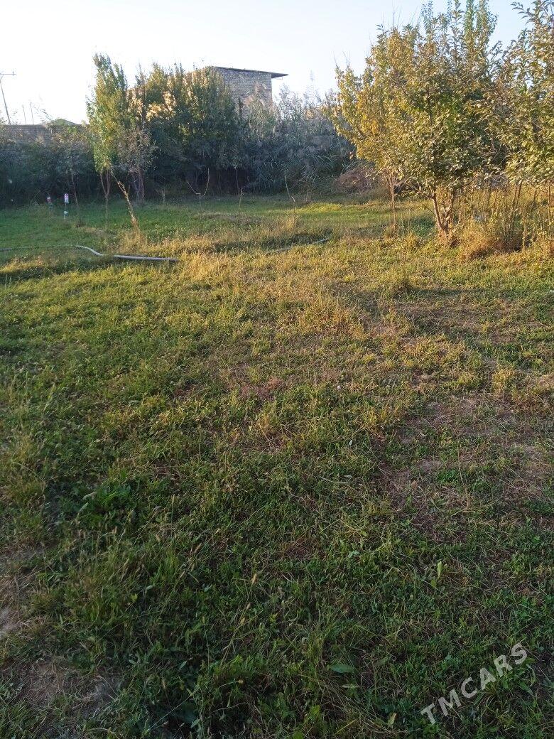 satlyk daça - Türkmenabat - img 2