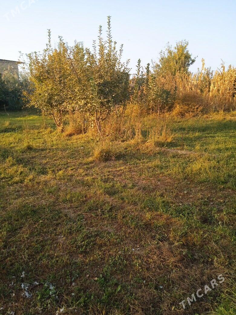 satlyk daça - Türkmenabat - img 3