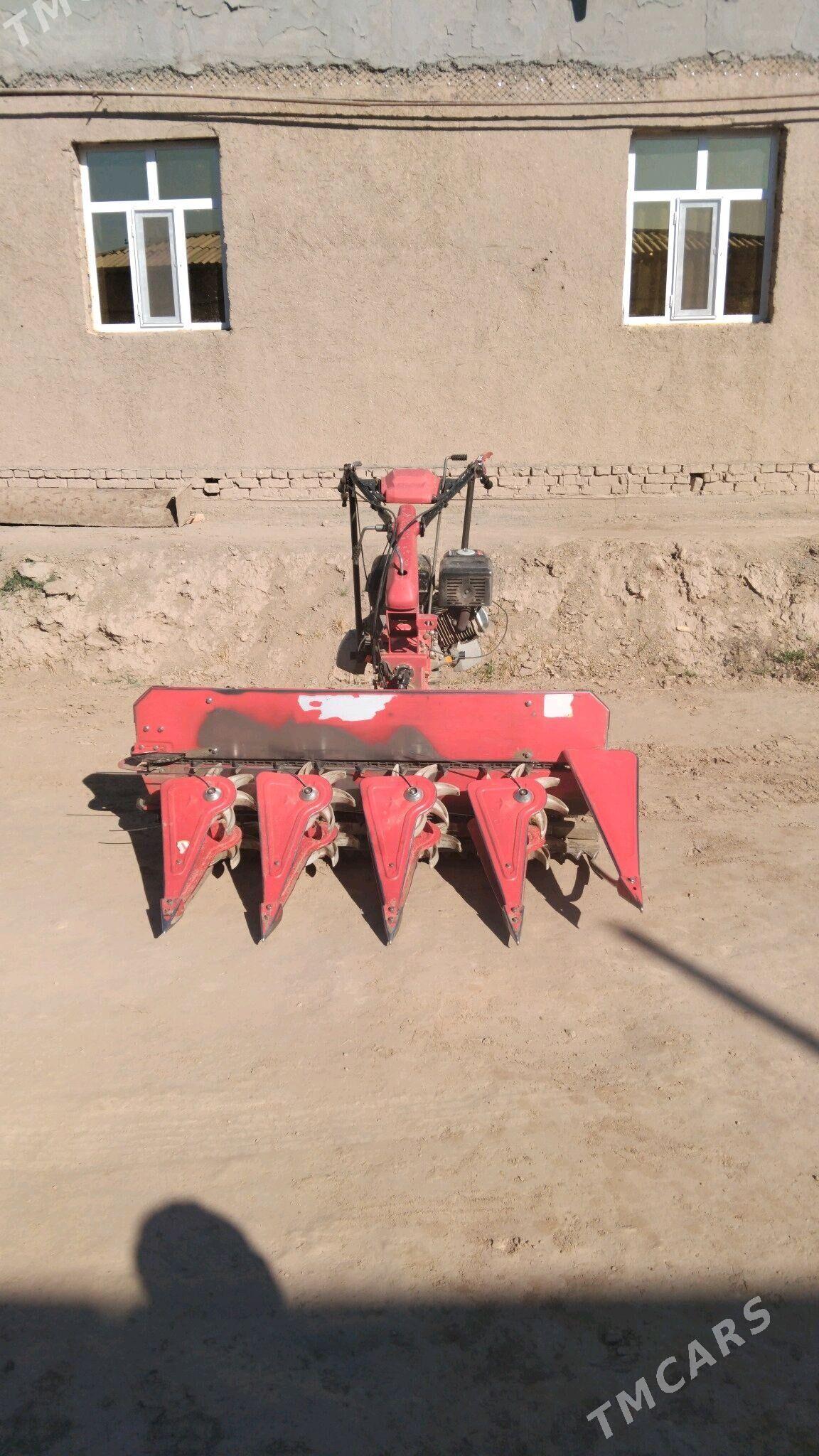 MTZ 80 2024 - 23 000 TMT - Гороглы (Тагта) - img 3