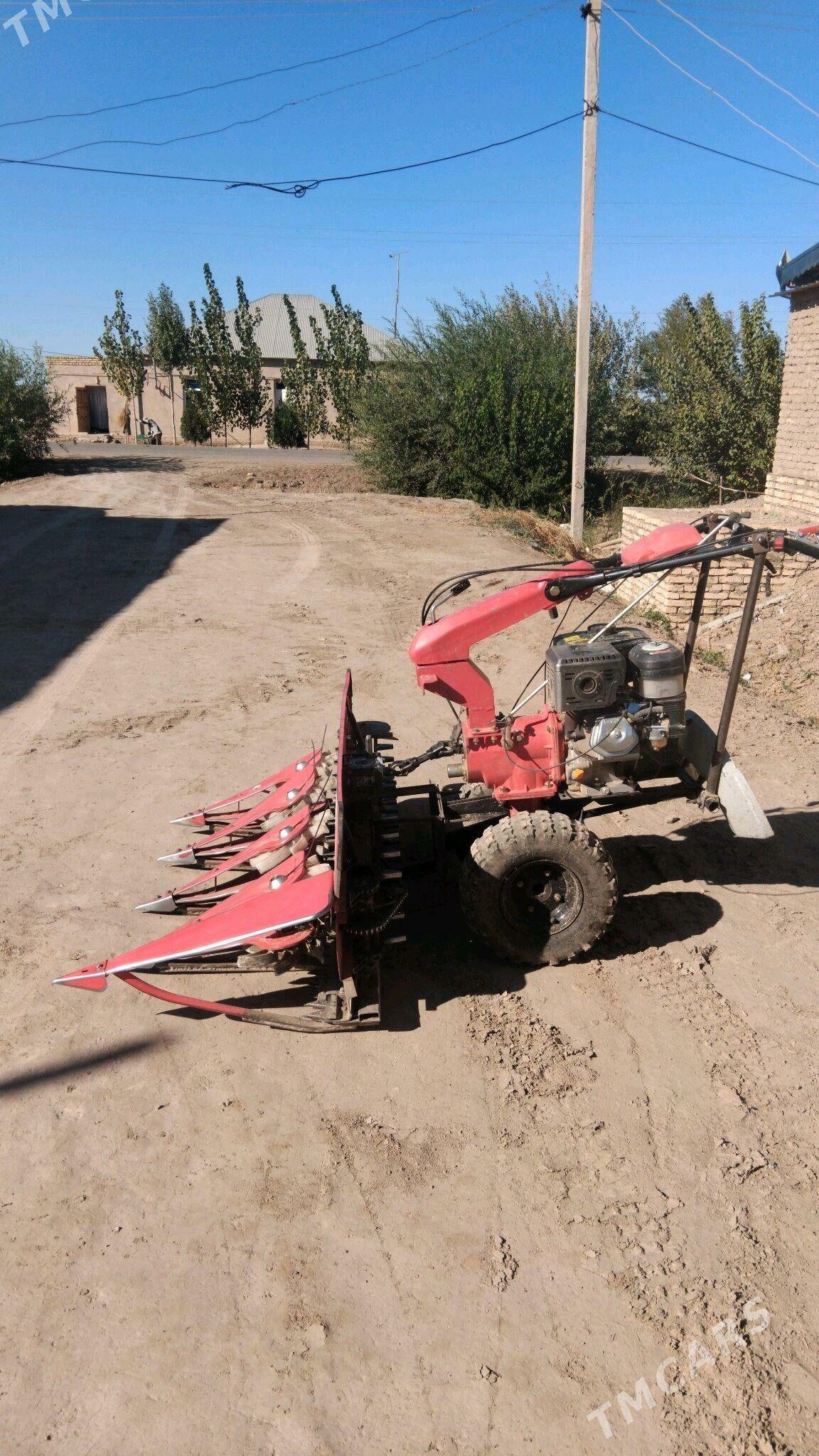 MTZ 80 2024 - 23 000 TMT - Гороглы (Тагта) - img 2