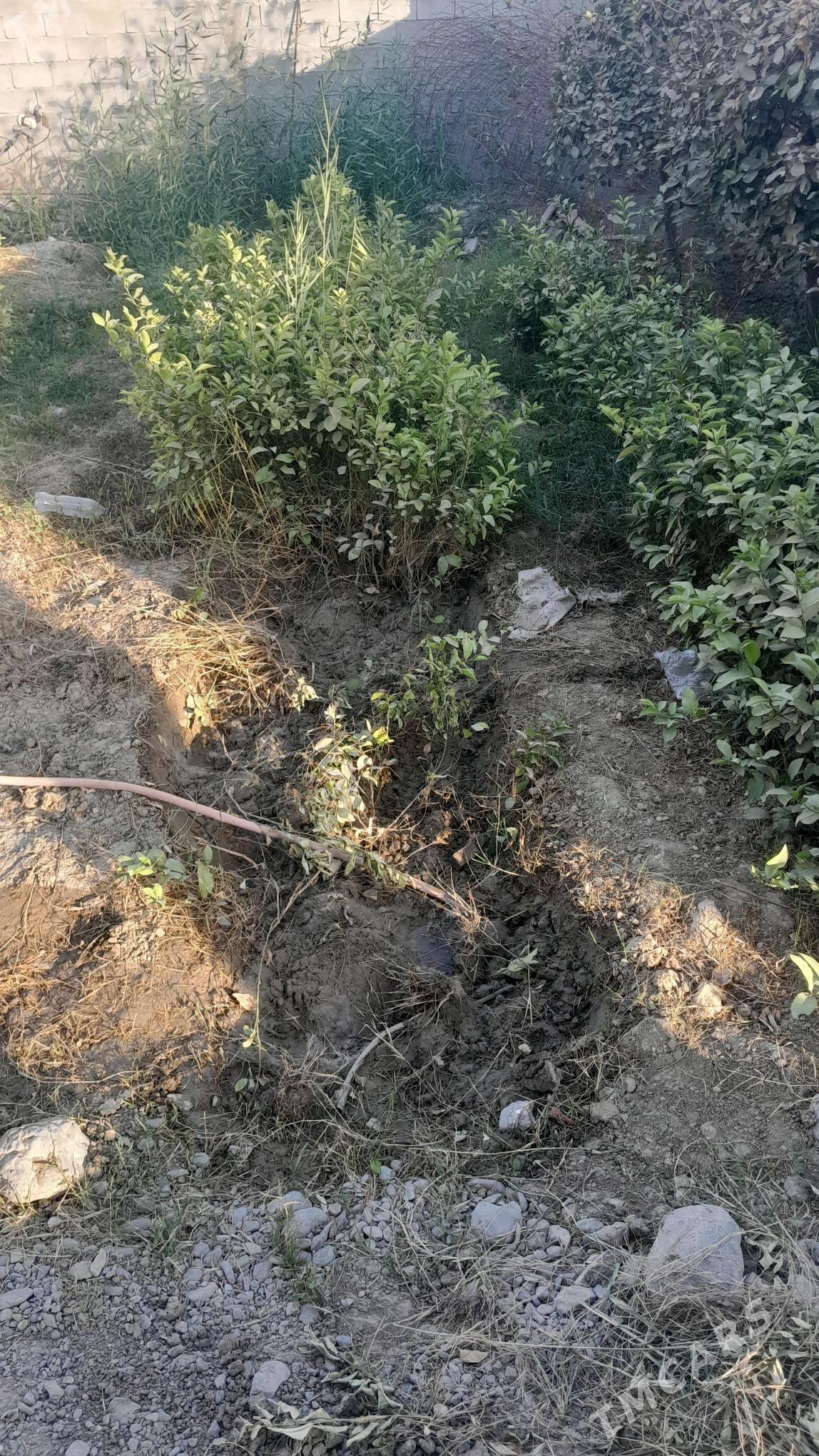 LIMON SITYL - Gökdepe - img 1
