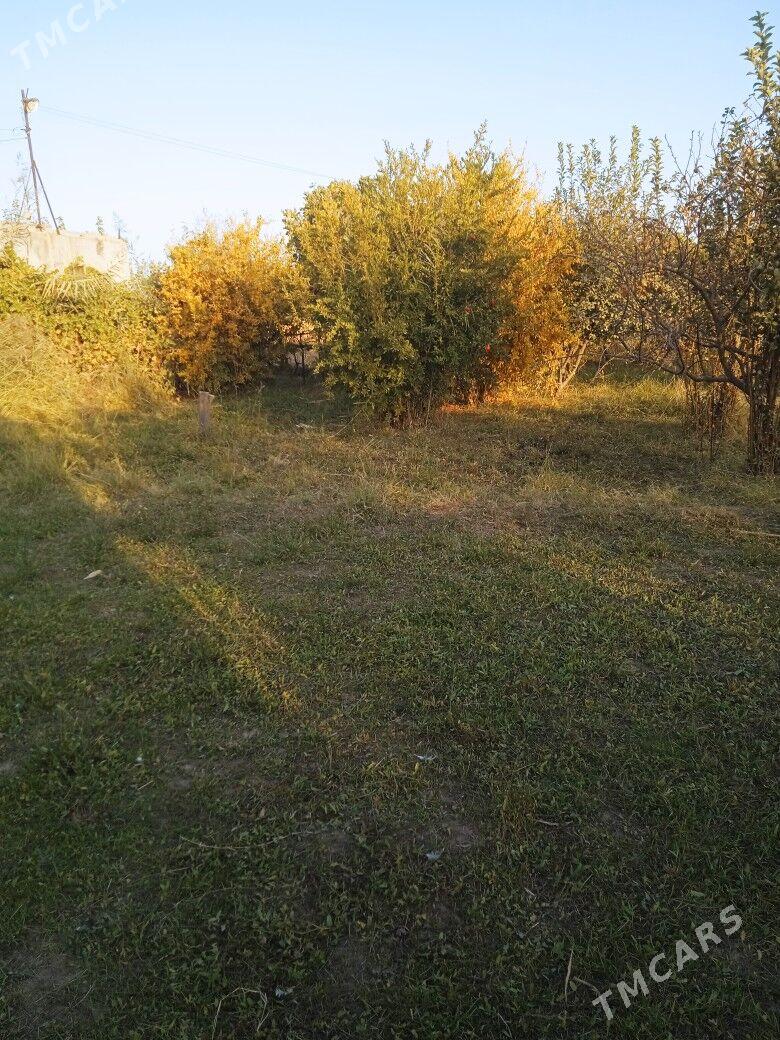 Daça Yokary Kerki - Türkmenabat - img 3