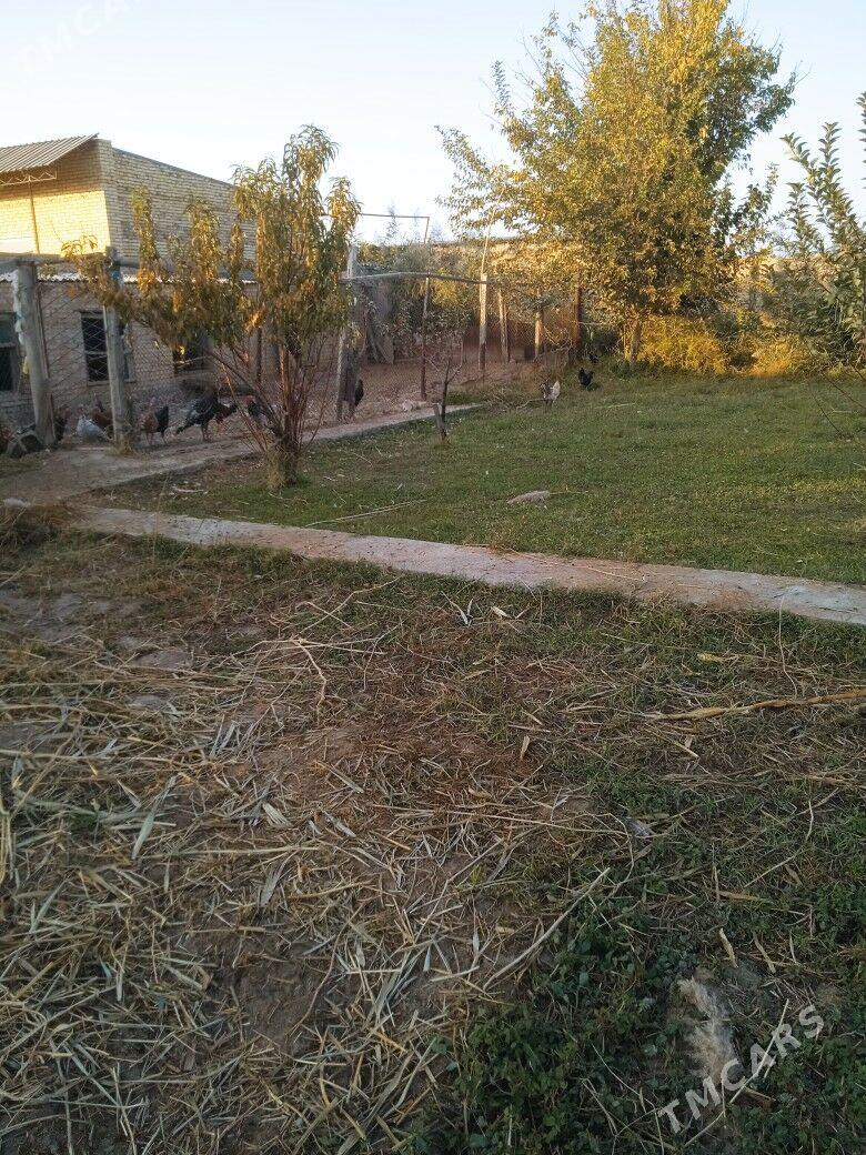 Daça Yokary Kerki - Türkmenabat - img 2