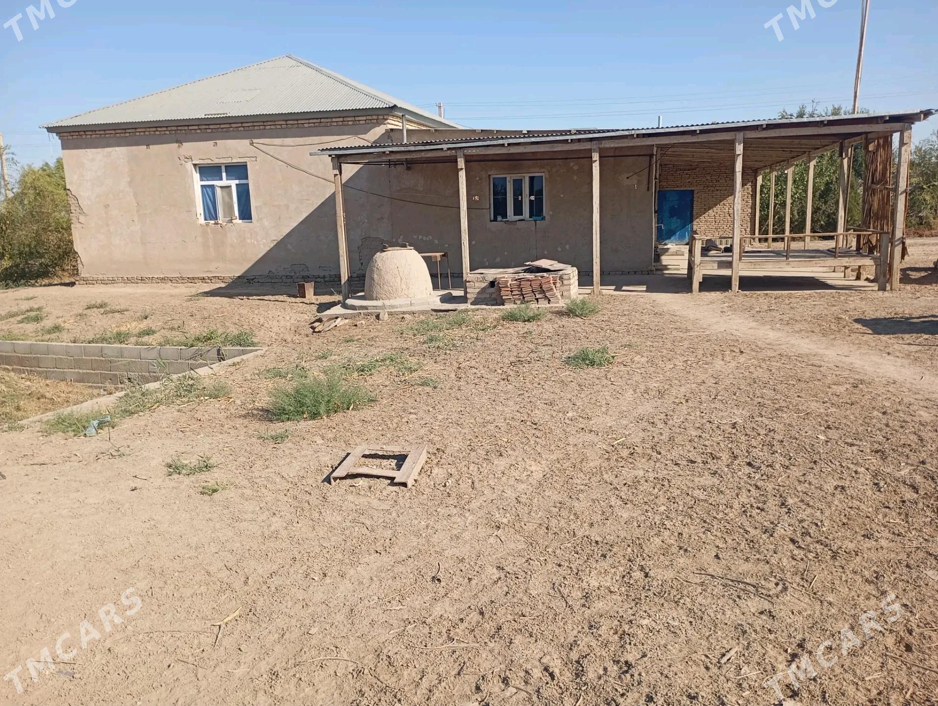 satlyk plan jay - Görogly (Tagta) - img 2