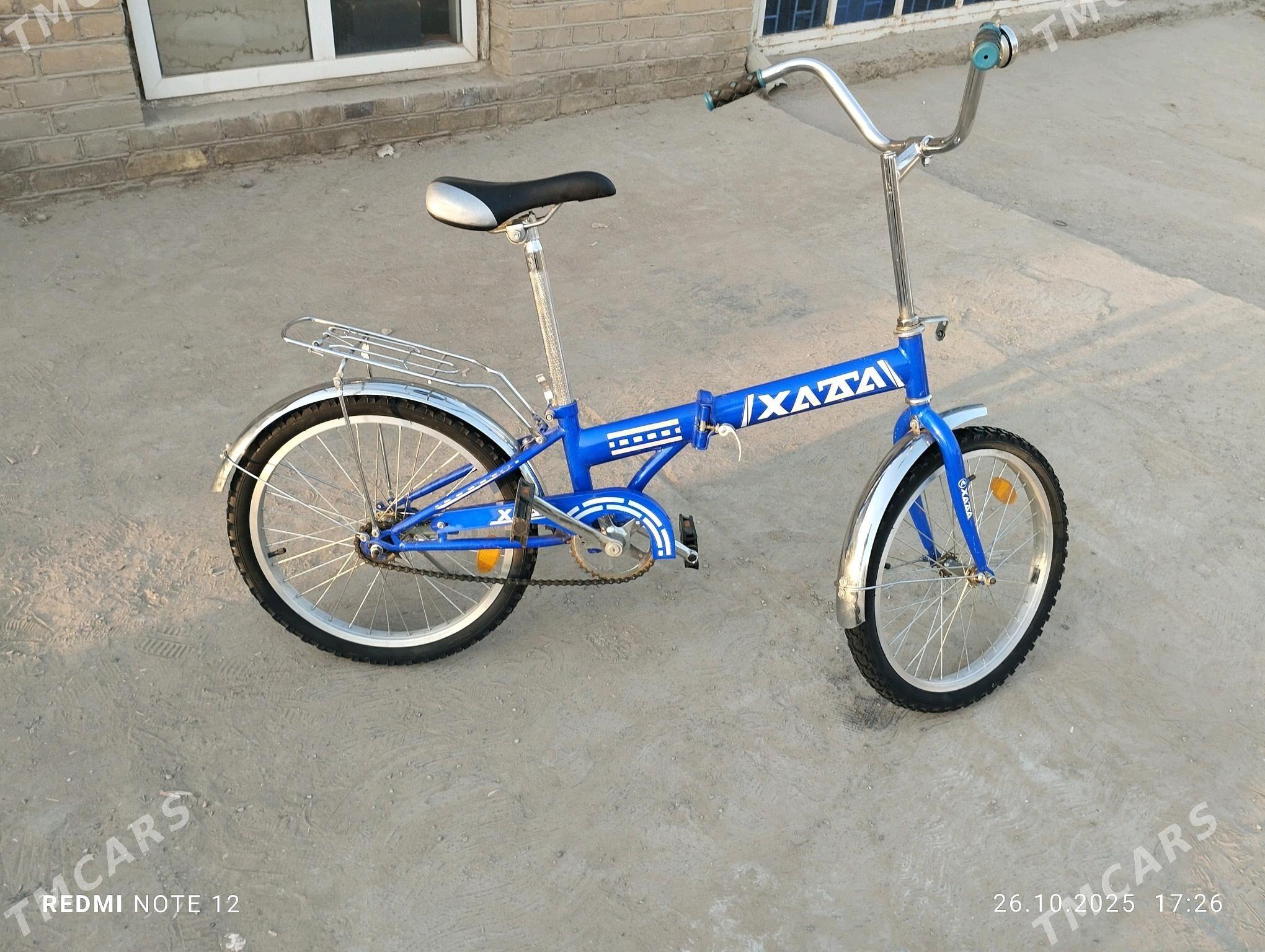 Welsopet - Мургап - img 1