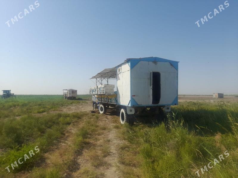 ary prissep - Кака - img 1