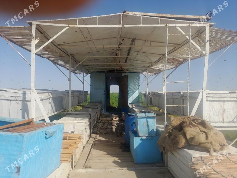 ary prissep - Кака - img 4