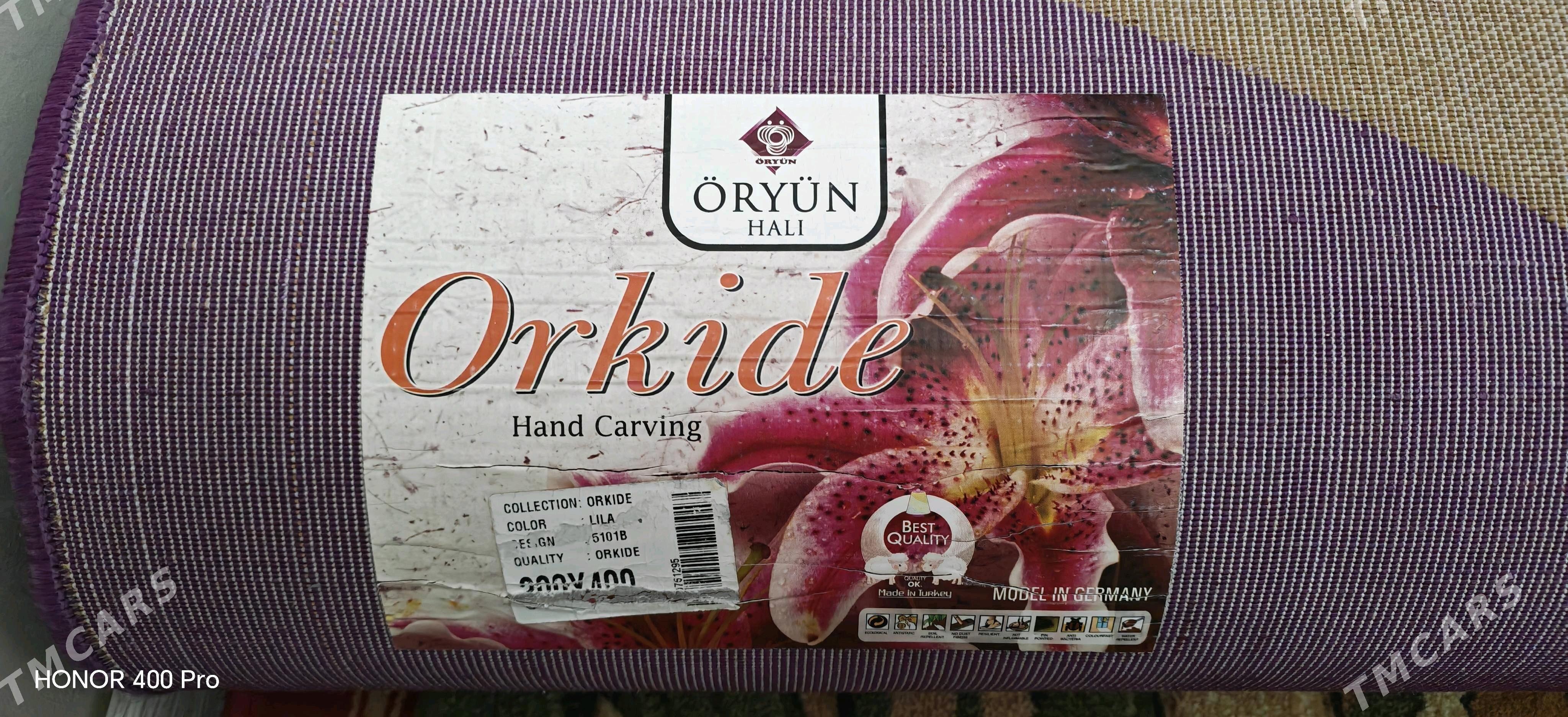 Haly - Balkanabat - img 3