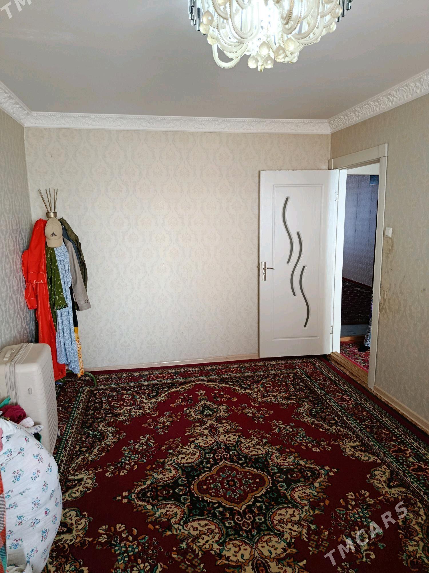 Satlyk jay - Mary - img 3