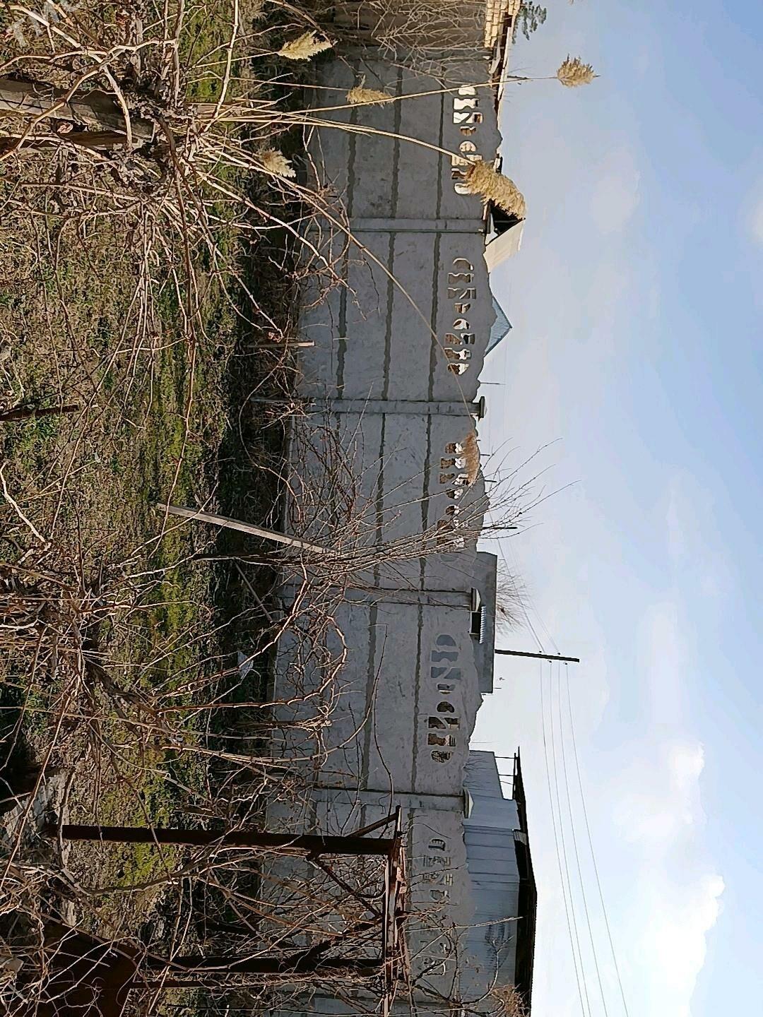 Gres daca - Mary - img 5