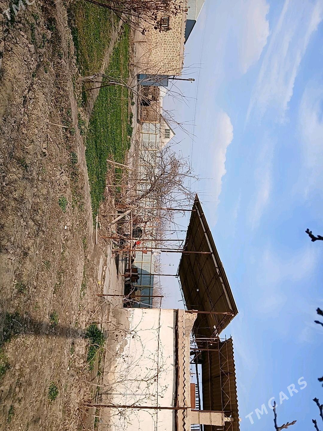 Gres daca - Mary - img 1