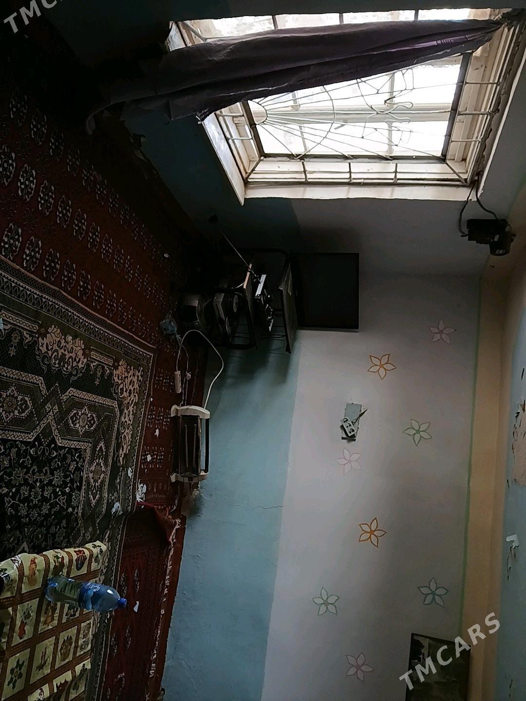 Gres daca - Mary - img 4