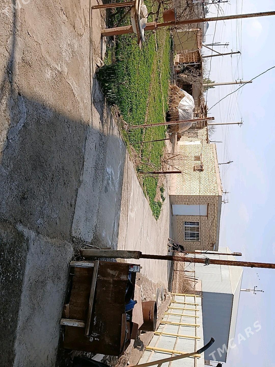 Gres daca - Mary - img 2