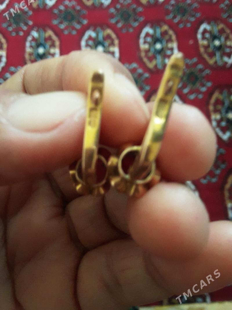 Гызыл сатярын - Oguz han - img 2