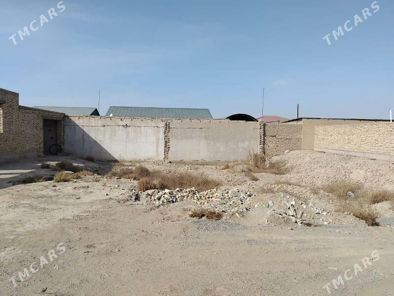 jay satilyar - Дашогуз - img 4