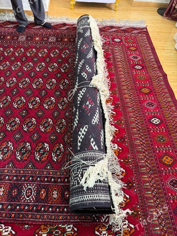 Haly Yomut gol - Aşgabat - img 3