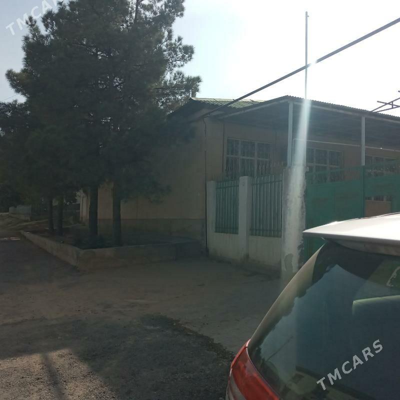 Yokarky kosi - Köşi - img 2