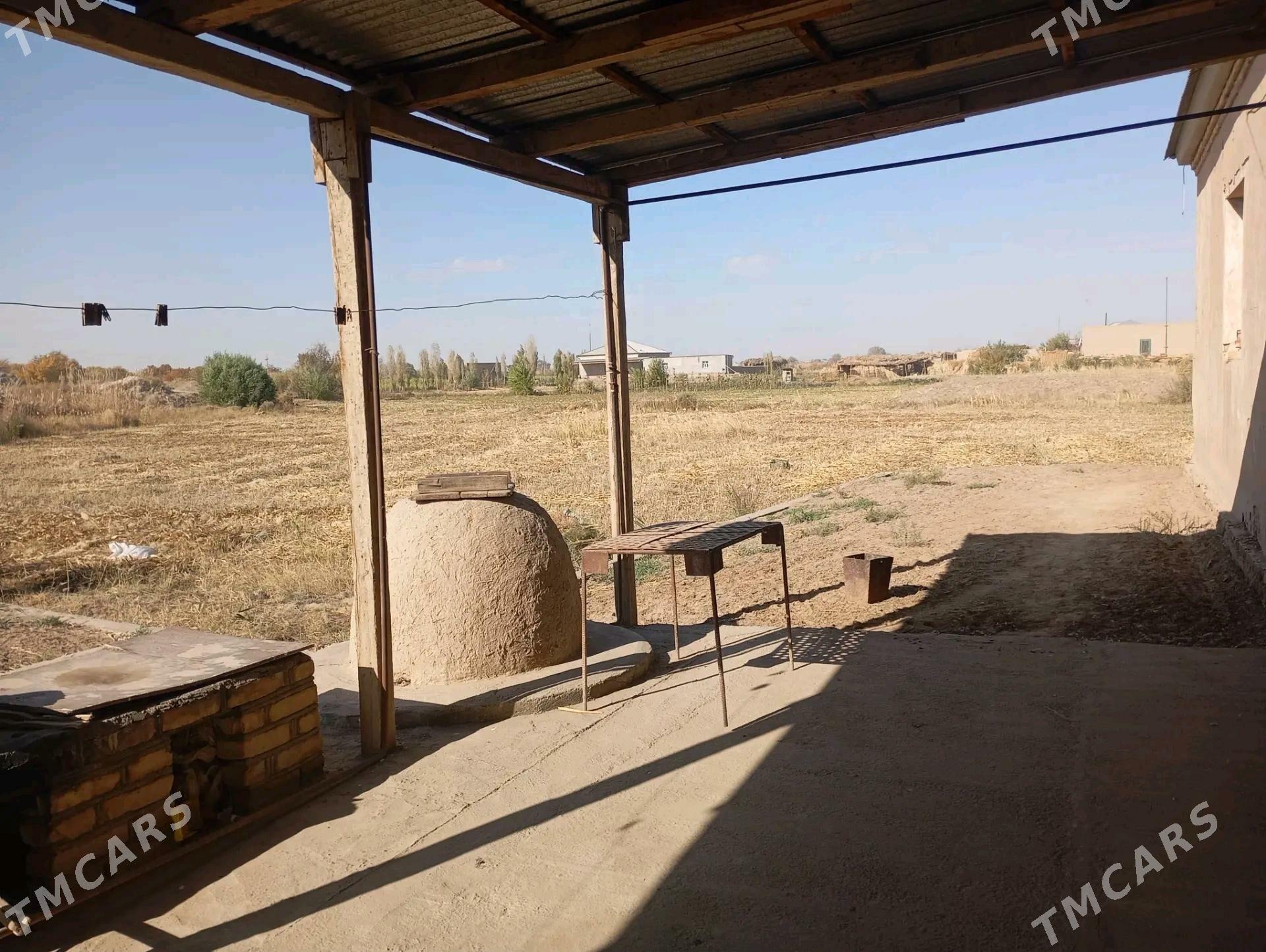 satlyk plan jay - Görogly (Tagta) - img 3