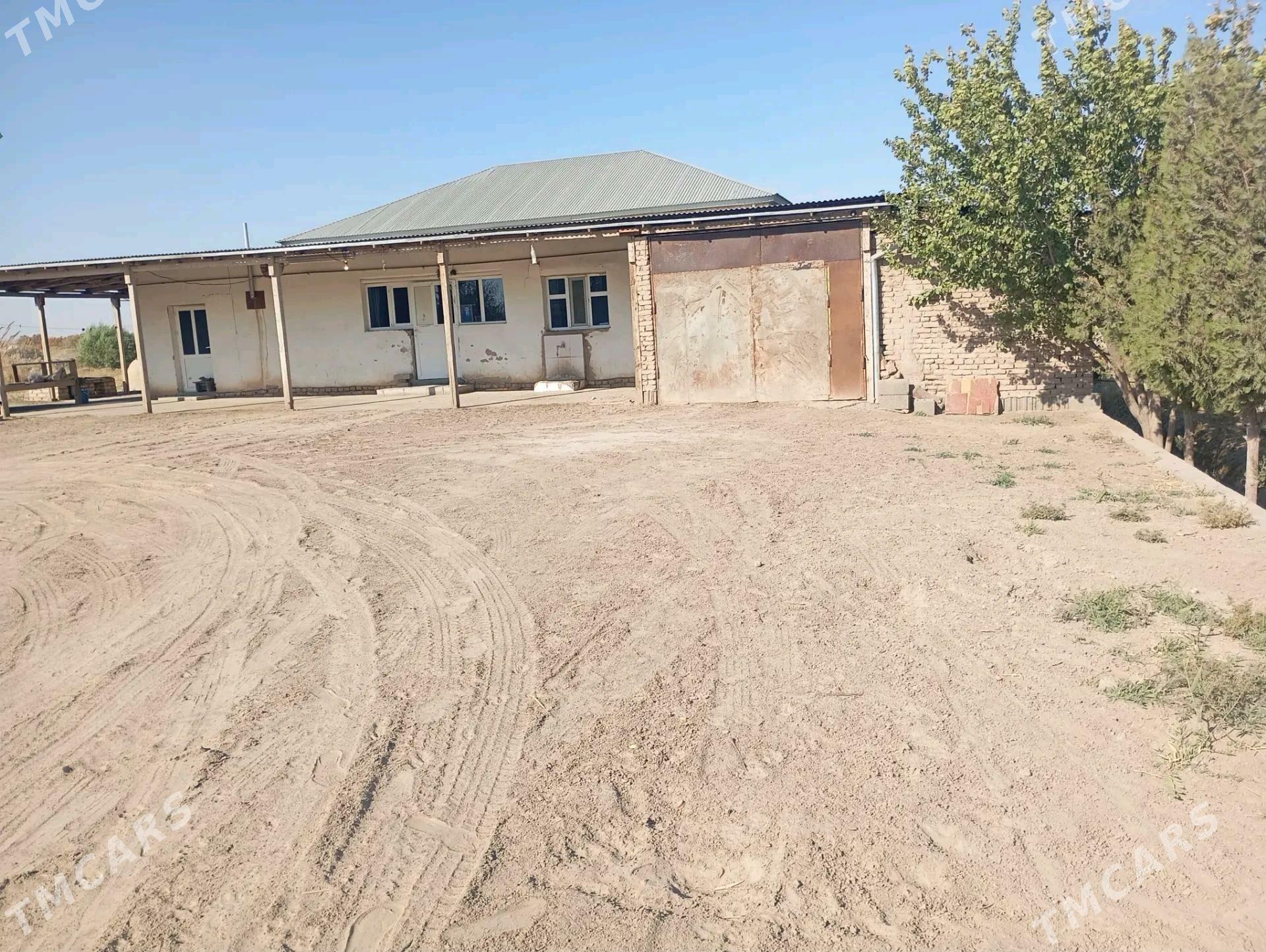 satlyk plan jay - Görogly (Tagta) - img 4