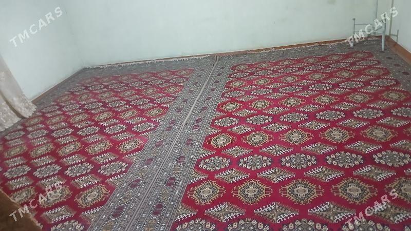 kosi gurwansoltanyn̈ ugry - Köşi - img 1