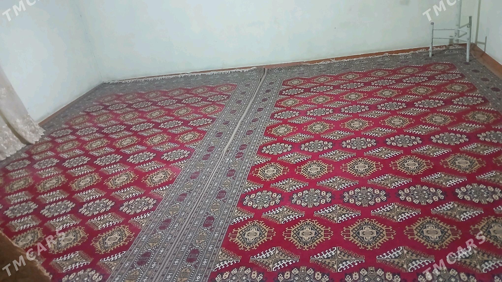 kosi gurwansoltanyn̈ ugry - Köşi - img 2