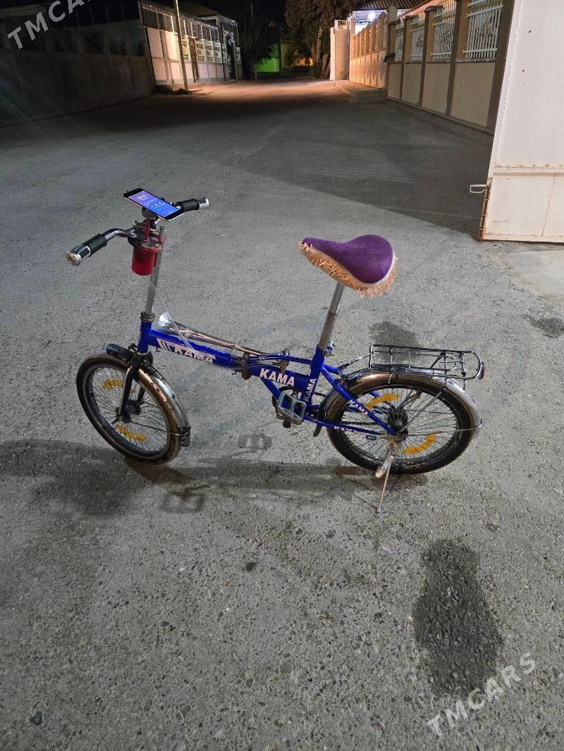 Kama tigir 20lik - Bagyr - img 2