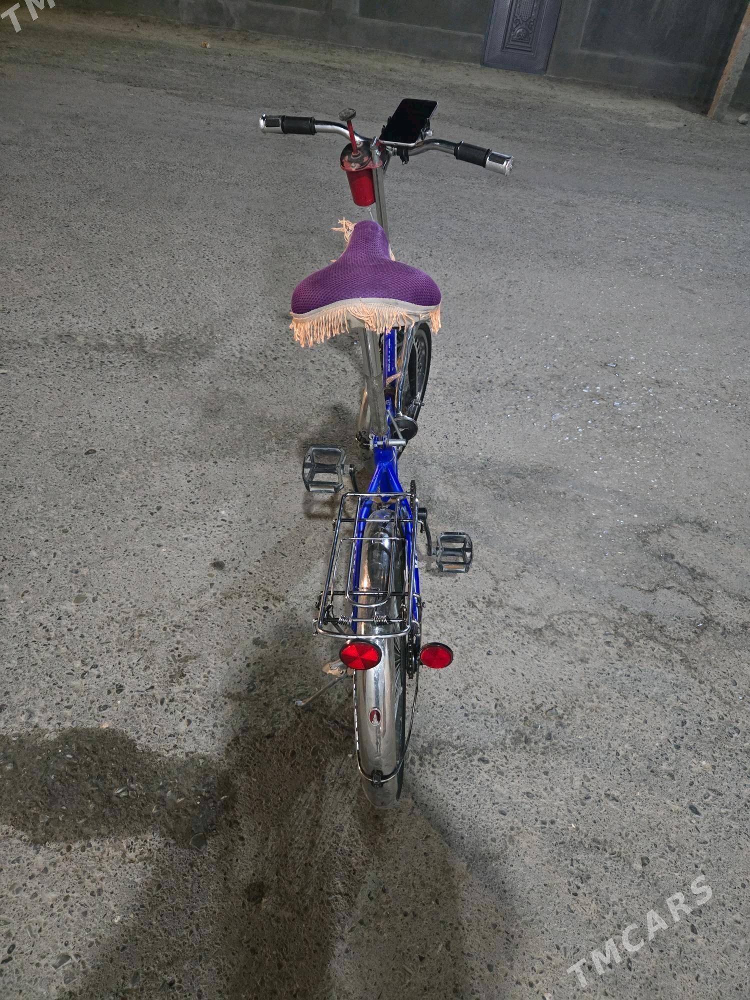 Kama tigir 20lik - Bagyr - img 3