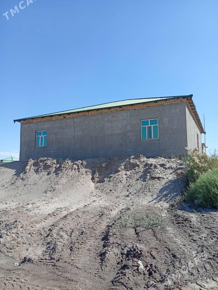 Jay gulustanda - Daşoguz - img 3