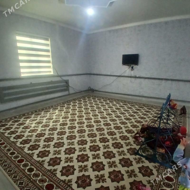 Jay gulustanda - Daşoguz - img 6