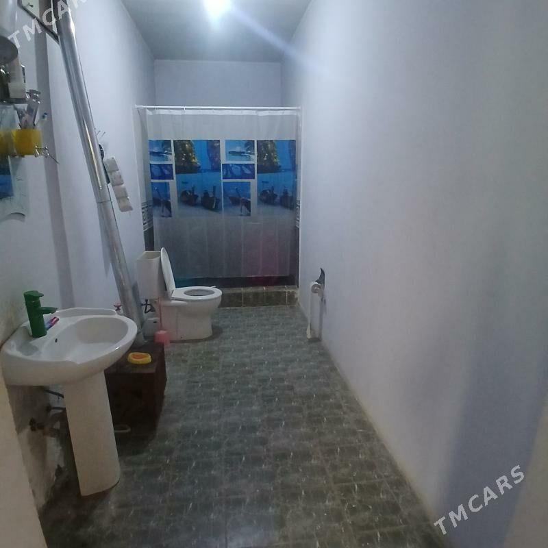 Jay gulustanda - Daşoguz - img 5