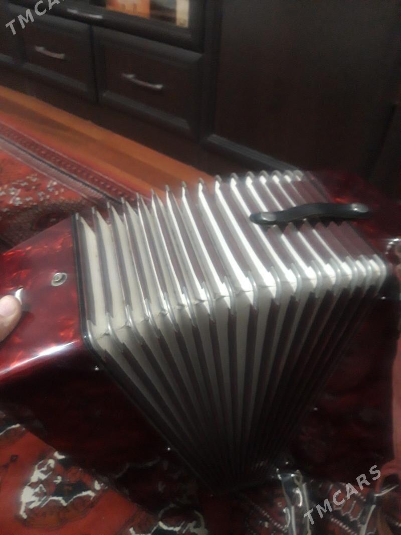 akkordeon аккордеон - Balkanabat - img 2