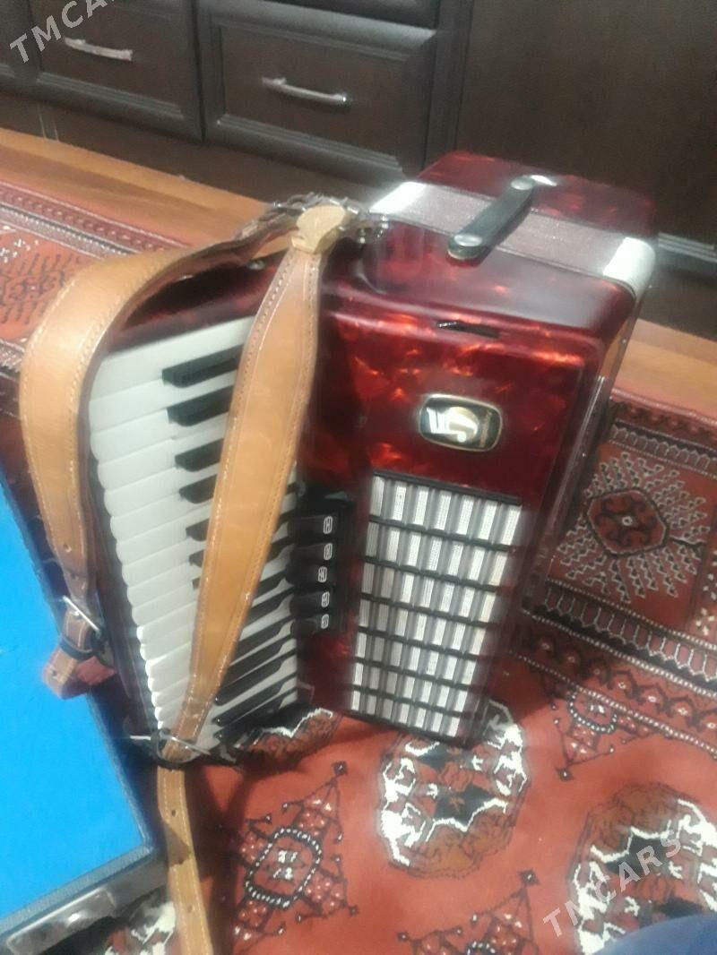 akkordeon аккордеон - Balkanabat - img 5