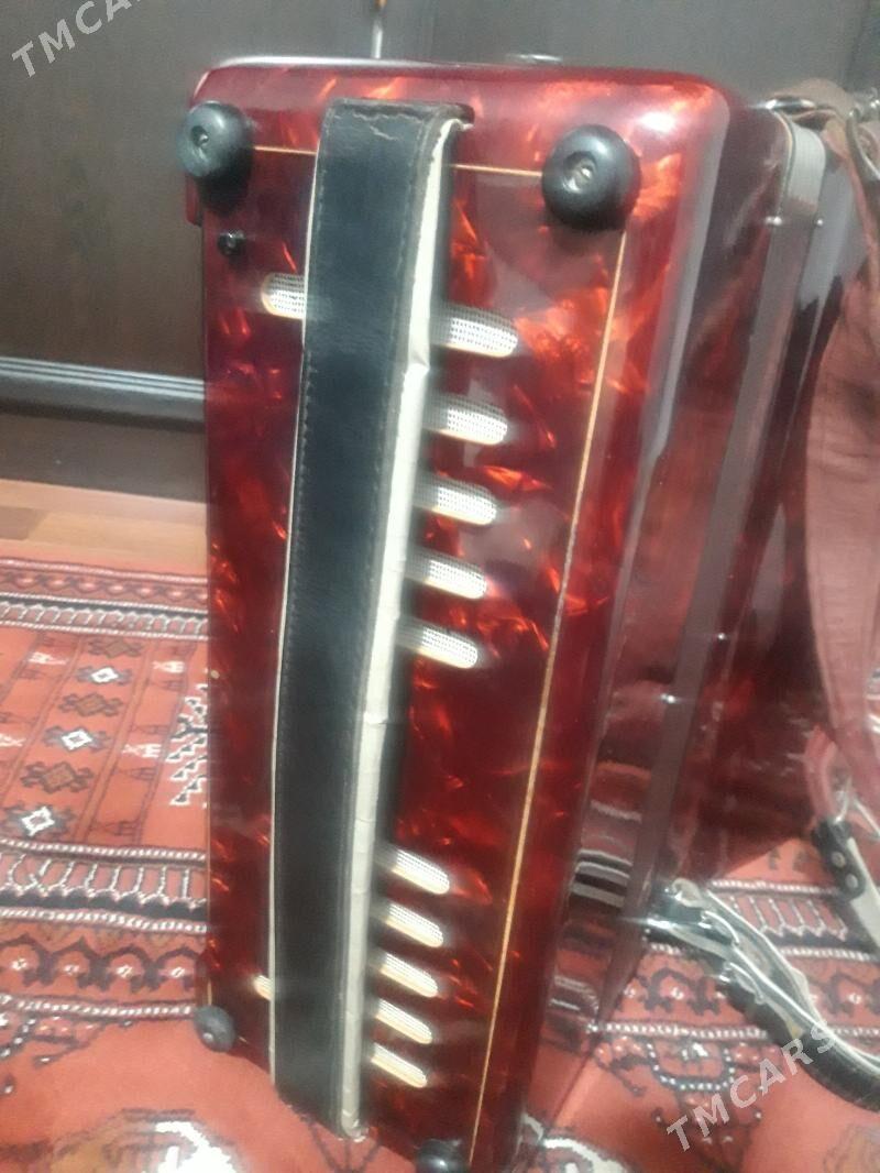 akkordeon аккордеон - Balkanabat - img 3