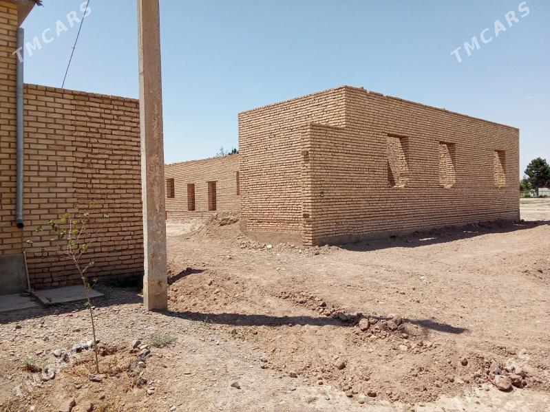 Sarahs jay - Серахс - img 7