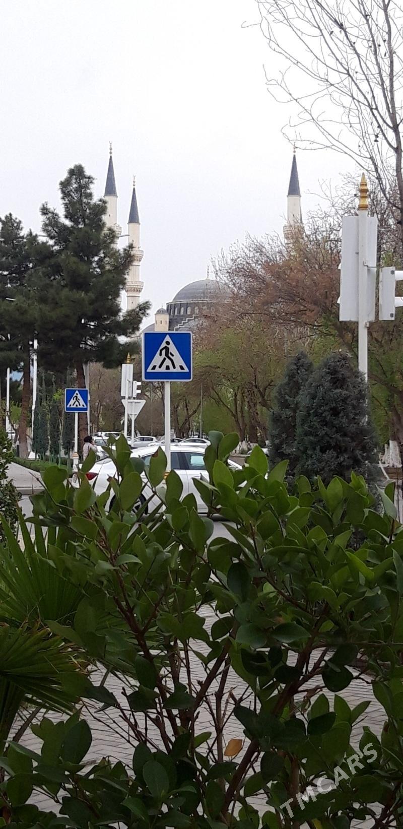 gämi köne гами - Ak bugdaý etraby - img 1