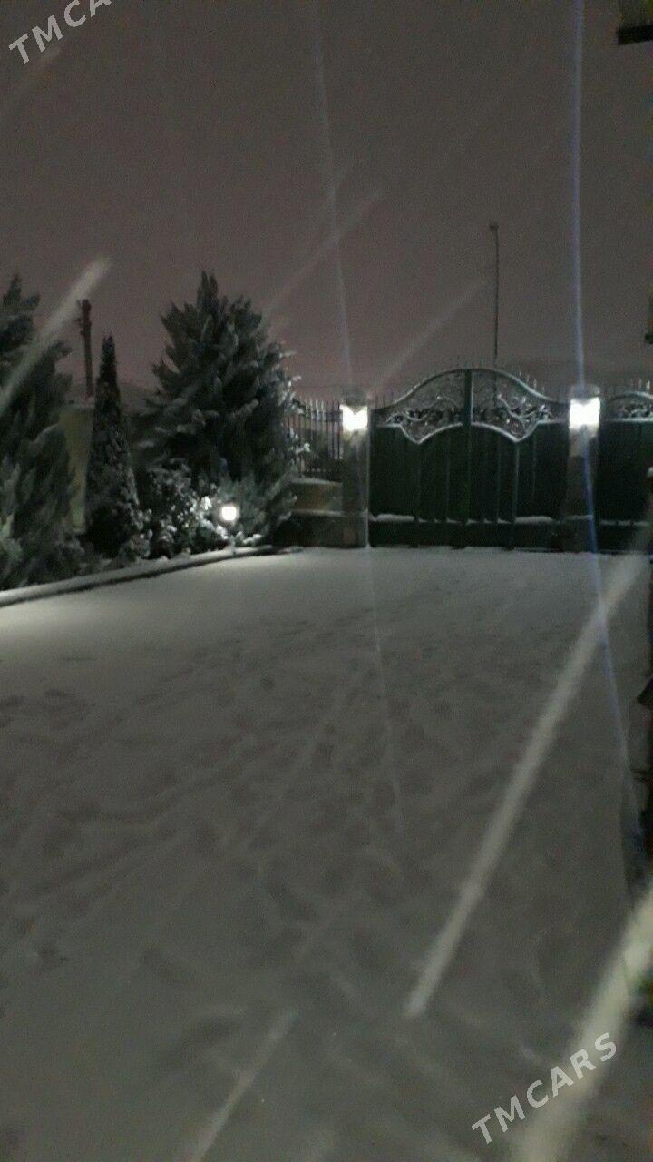 gämi köne гами - Ak bugdaý etraby - img 7